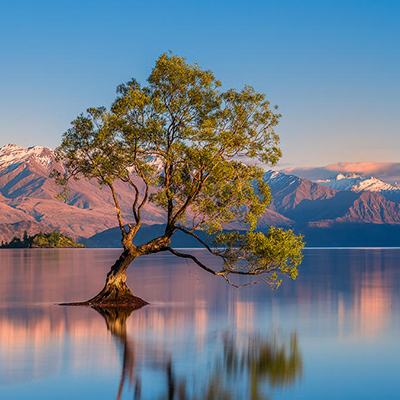 Wanaka